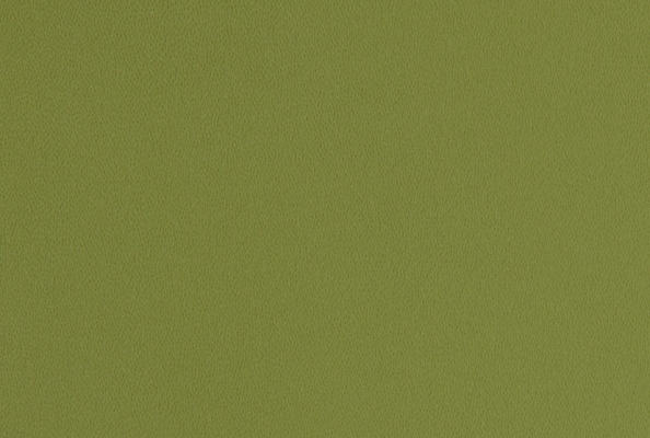 Silk Avo